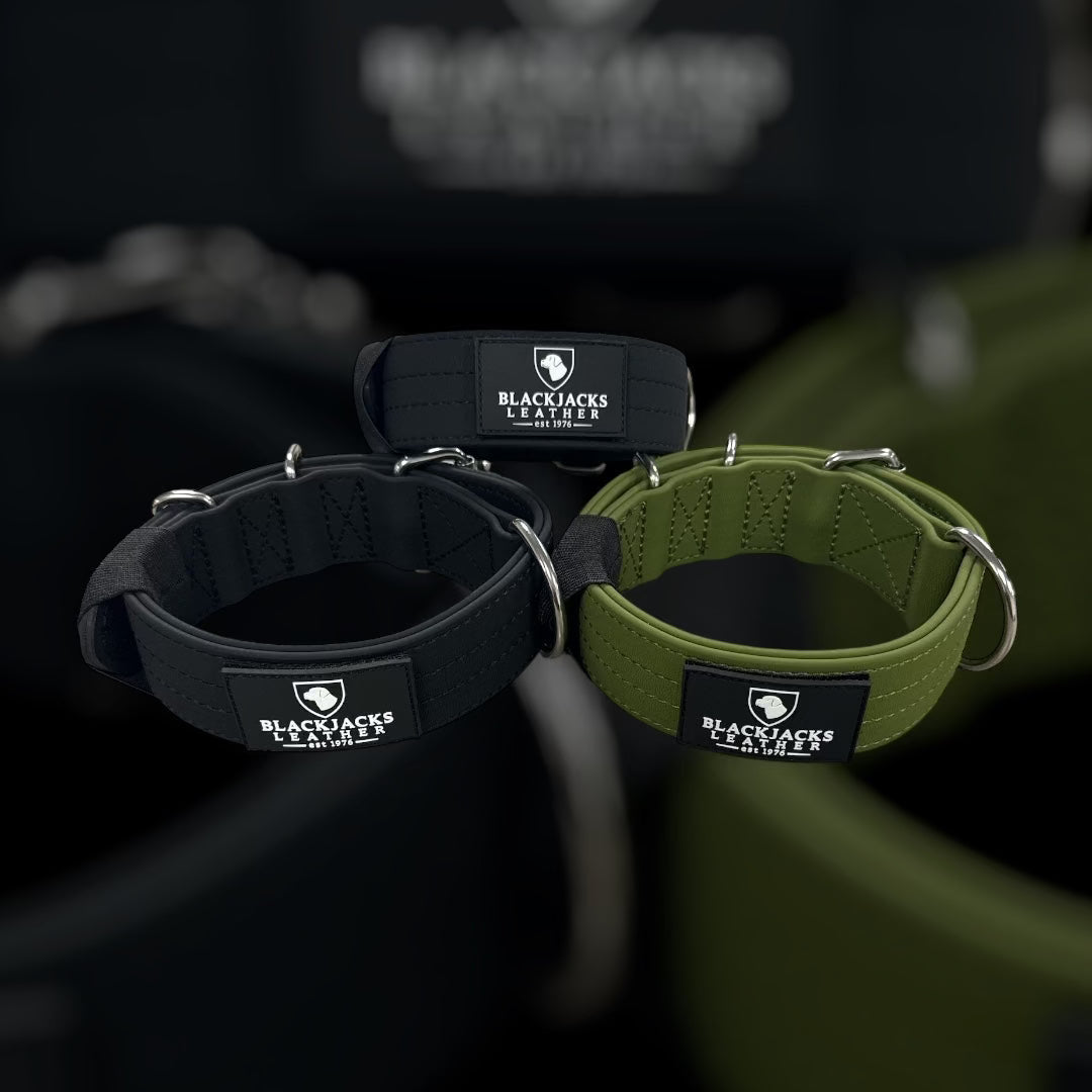 Blackjack leather dog deals collars