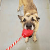 USA-K9 Grenade Durable Rubber Chew Toy, Treat Dispenser, Reward Toy, Tug Toy, and Retrieving Toy