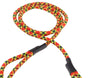 Coral Snake