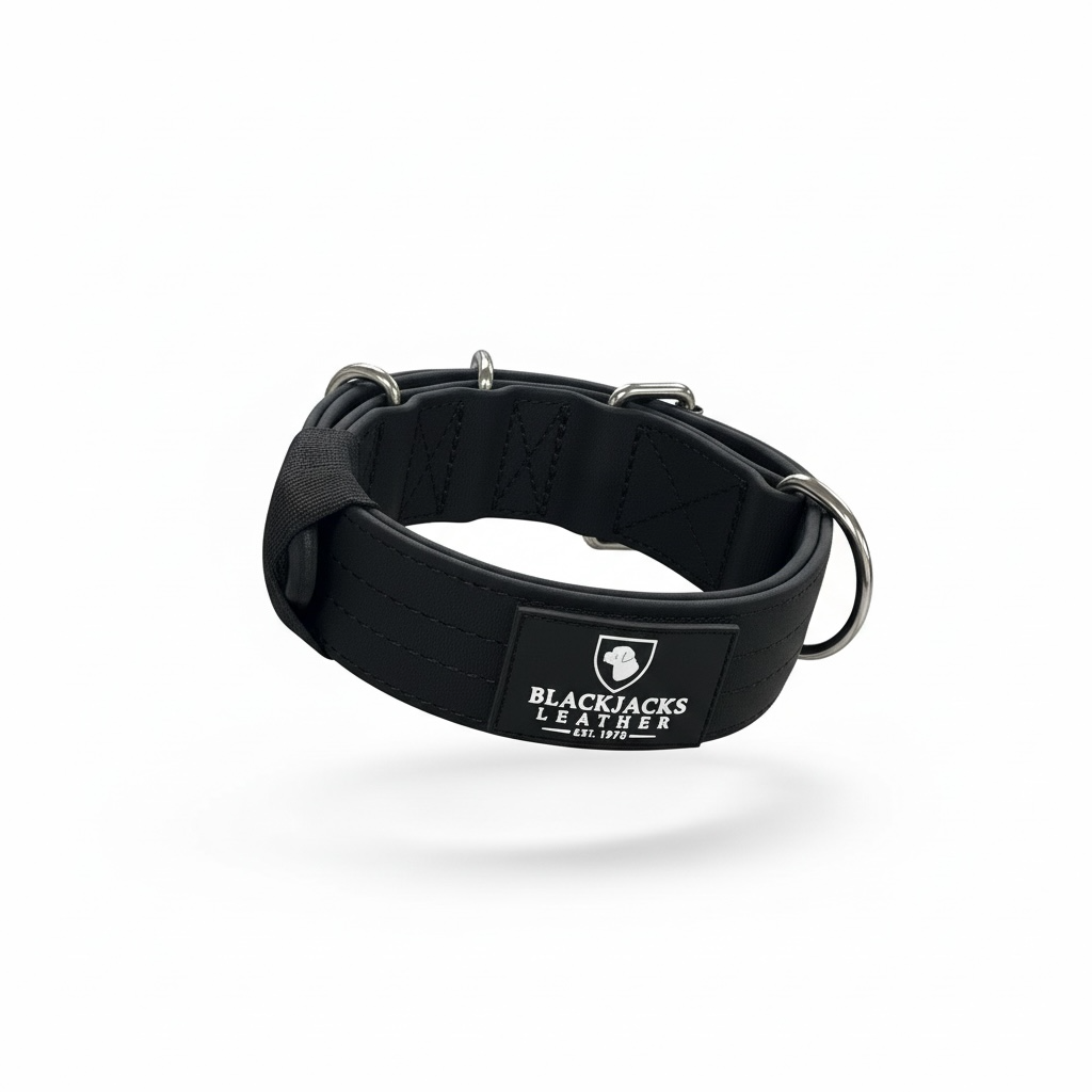 Waterproof 2 inch collar – BlackJacks Leather